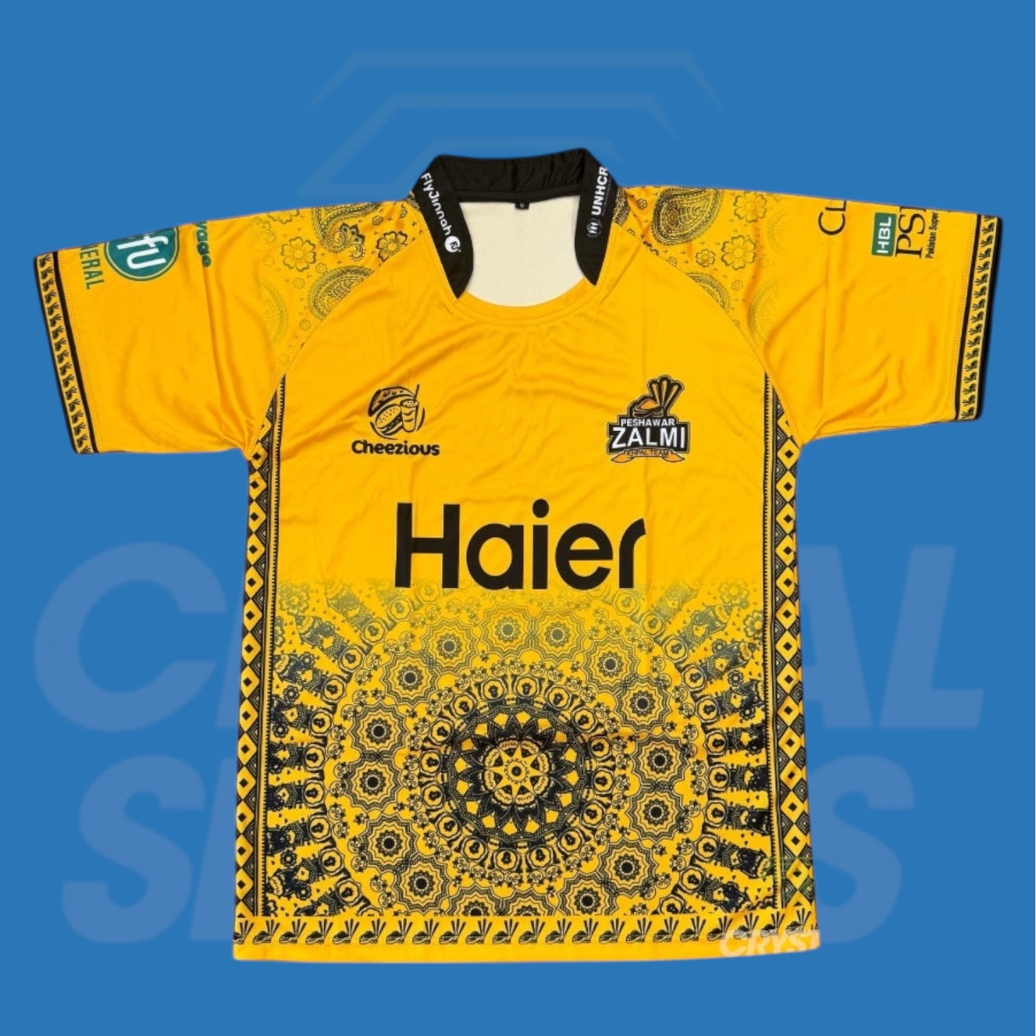 Peshawar Zalmi PSL 2025 Cricket Jersey – Crystal Sports