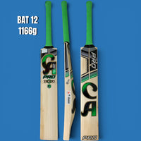 CA Pro 15000 13