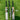 MB Malik Bubber Sher English Willow Cricket Bat