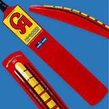 CA NJ - 5000 Fibreglass Cricket Bat 1