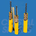 DSC Plastic Cricket Bat
