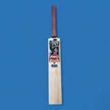 CA Pro 3000 - Harrow image 1