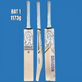 CA Gold Dragon image 2