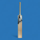 MBS World Class Edition English Willow Cricket Bat image 1