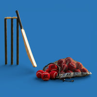 Nivia Hard Tennis Cricket Ball 3