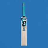 CA Pro 10000 Cricket Bat image 1