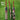 CA Pro 3000 Cricket Bat