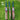 CA Pro 5000 Performance Edition Cricket Bat
