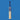 SS Champion English Willow Cricket Bat