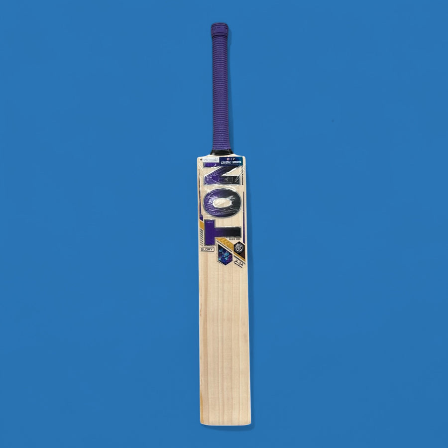 SS TON Glory English Willow Cricket Bat
