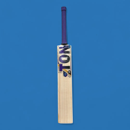SS TON Glory English Willow Cricket Bat