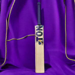 SS TON Glory English Willow Cricket Bat